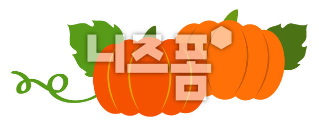 호박 이미지 미리보기