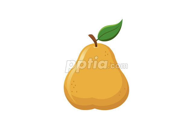 배 이미지 미리보기