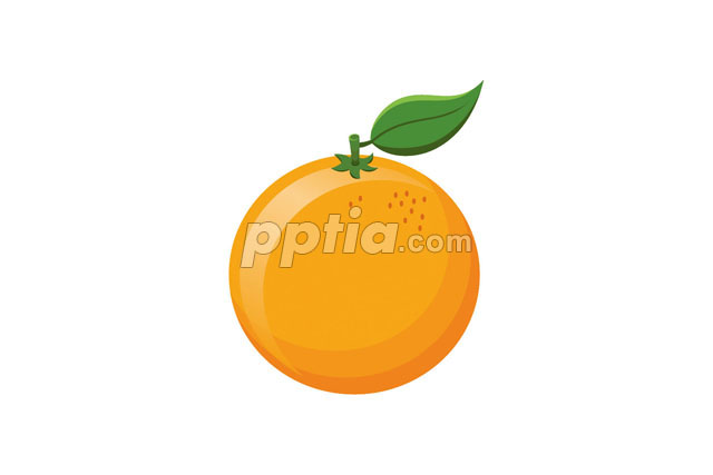 오렌지 이미지 미리보기