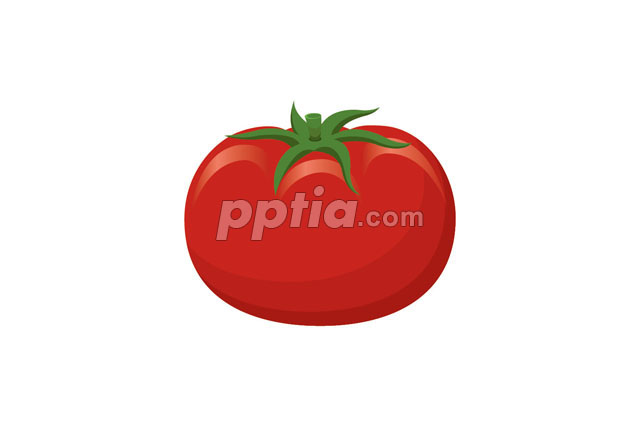 토마토 이미지 미리보기