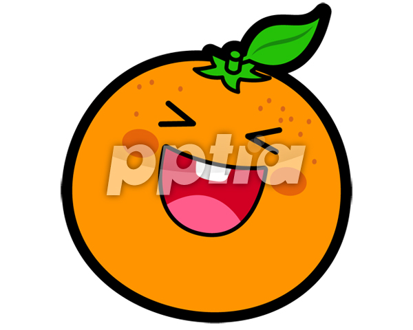 오렌지 이미지 미리보기
