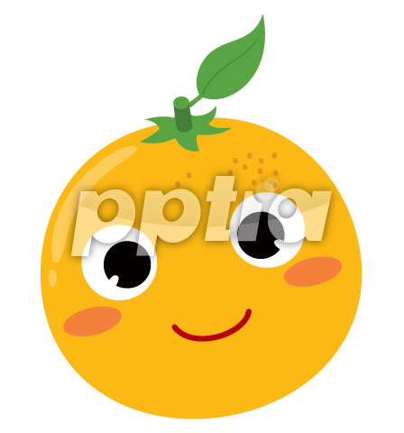 오렌지 이미지 미리보기