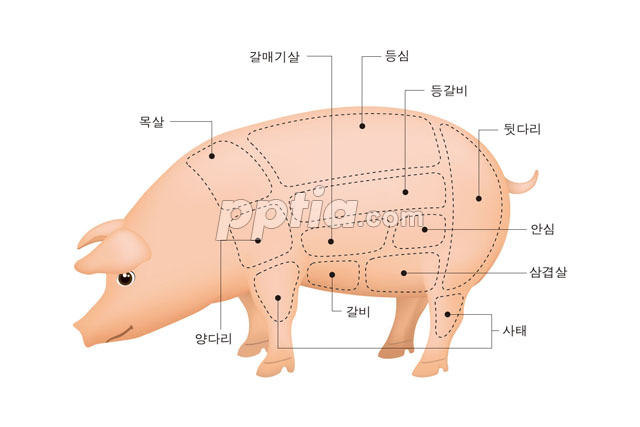 돼지고기 부위 이미지 미리보기
