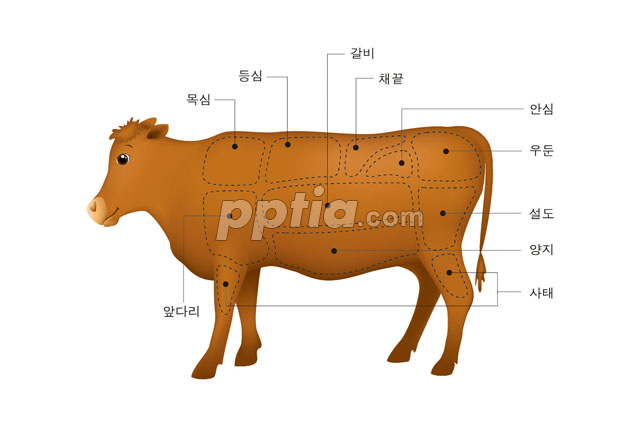 소고기 부위 이미지 미리보기