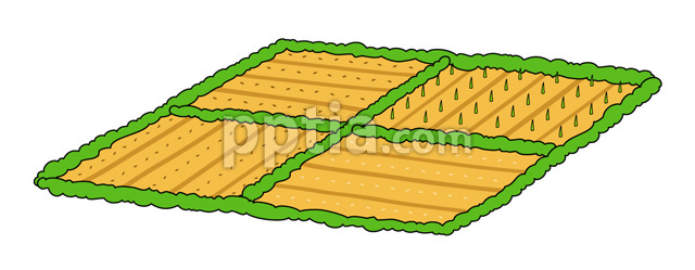 밭 이미지 미리보기