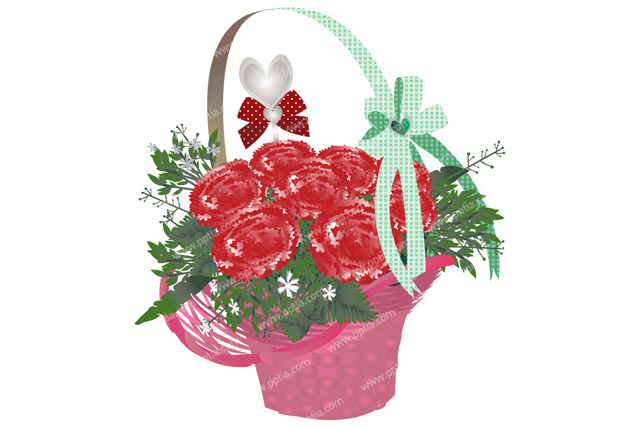 카네이션 바구니 이미지 미리보기