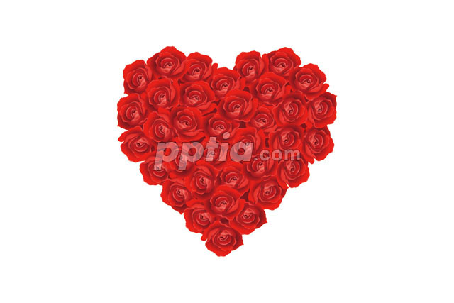 빨간색 장미꽃으로 만든 하트 이미지 미리보기