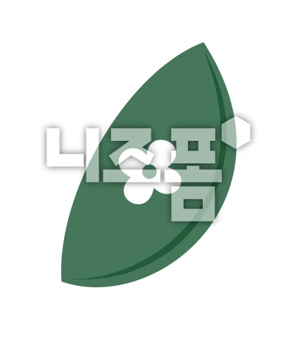 초록색송편 이미지 미리보기