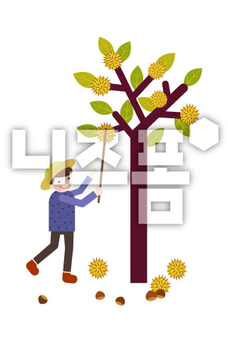밤송이를떨어트리는남자 이미지 미리보기