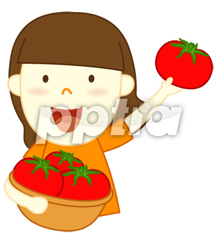 토마토바구니들고있는여자 이미지 미리보기