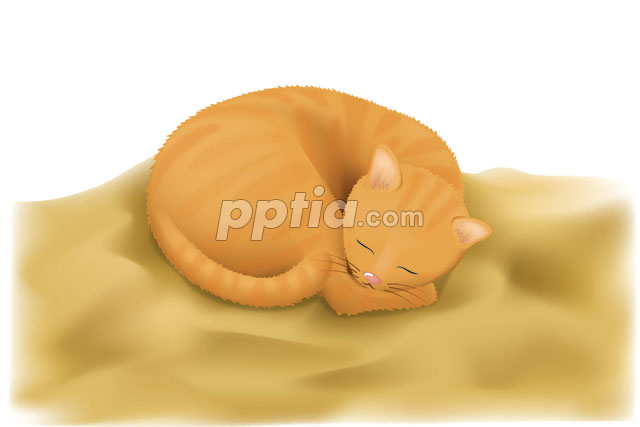 잠자는 고양이 이미지 미리보기