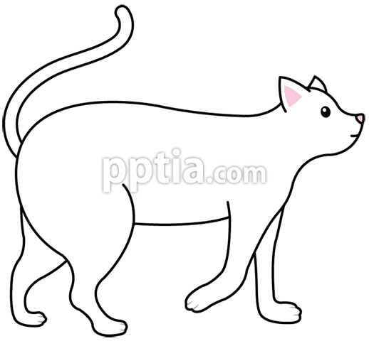 고양이 이미지 미리보기