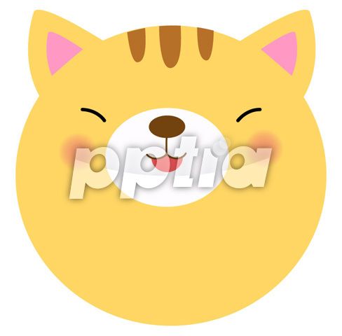 고양이 이미지 미리보기
