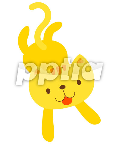 고양이 이미지 미리보기
