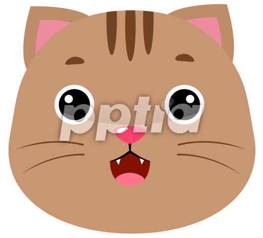고양이 이미지 미리보기