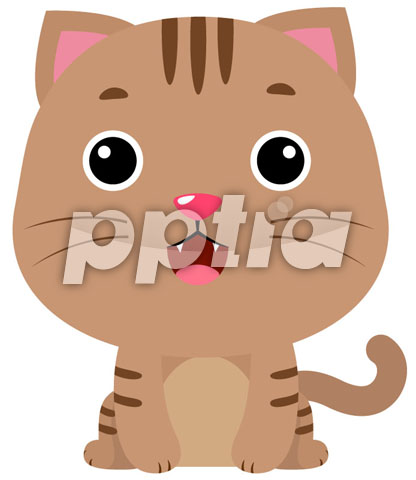 고양이 이미지 미리보기