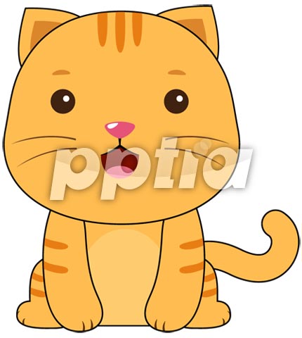 고양이 이미지 미리보기