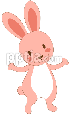토끼 이미지 미리보기