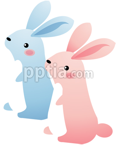 토끼 이미지 미리보기