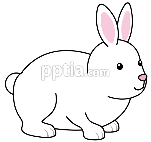 토끼 이미지 미리보기