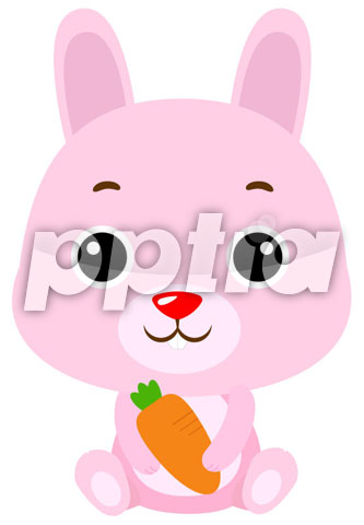 토끼 이미지 미리보기