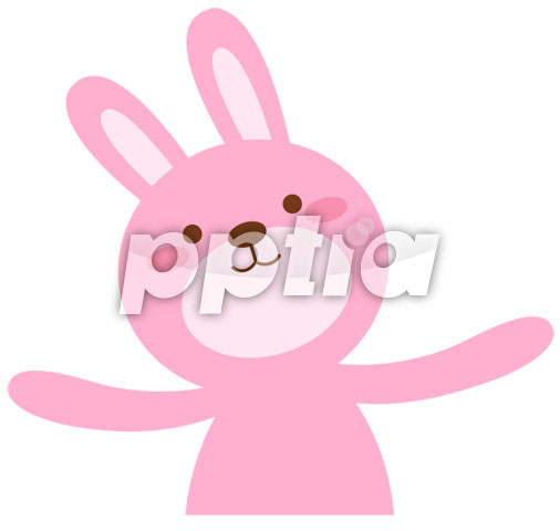 토끼 이미지 미리보기