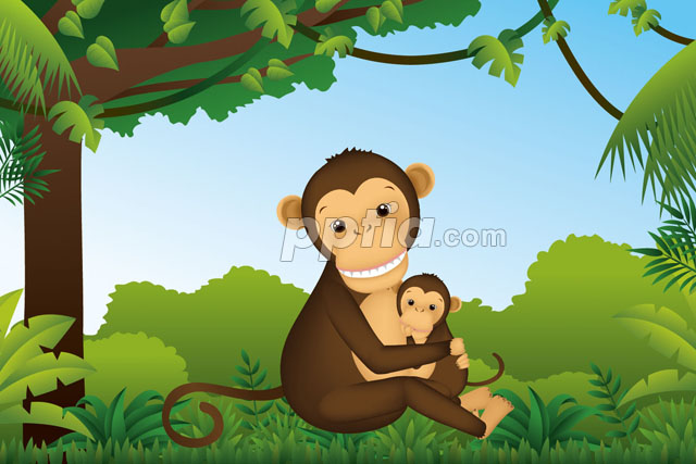 새끼를 안고있는 원숭이 이미지 미리보기