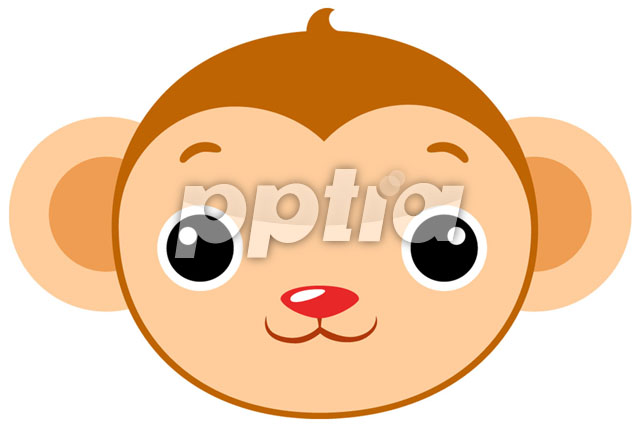원숭이 이미지 미리보기