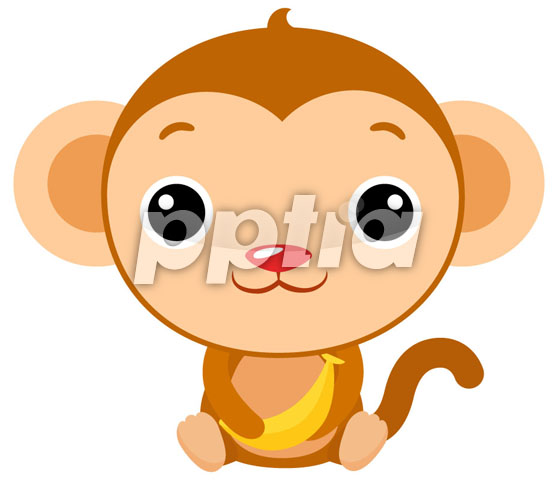 원숭이 이미지 미리보기