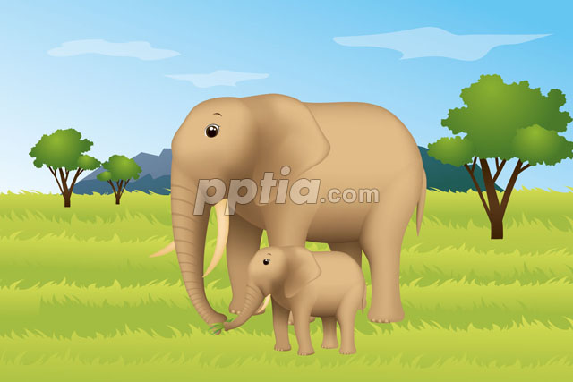 새끼에게 먹이를 주는 코끼리 이미지 미리보기