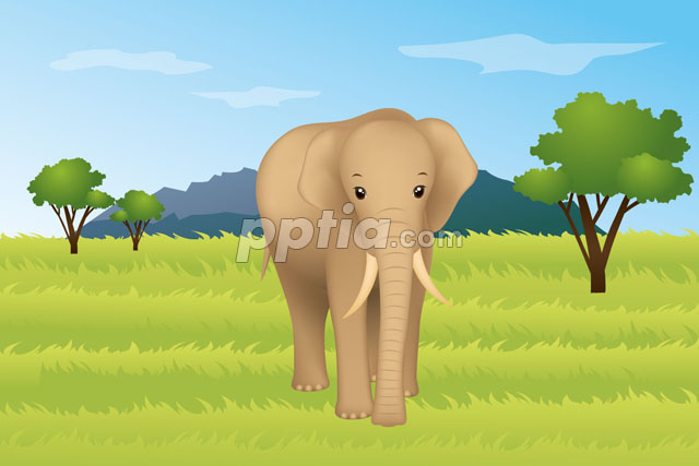 초원에 서있는 코끼리 이미지 미리보기