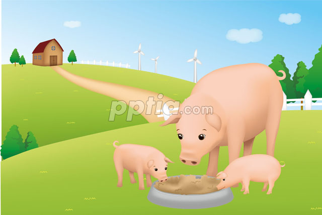돼지와 새끼들이 밥먹는 모습 이미지 미리보기
