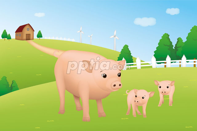 돼지와 새끼들이 걷는 모습 이미지 미리보기