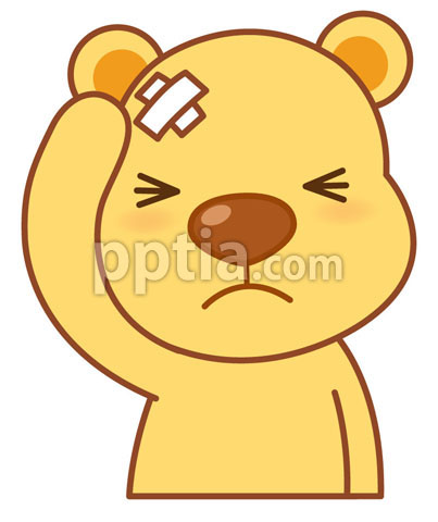 머리다친 곰 이미지 미리보기
