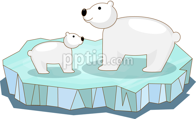 북극곰 이미지 미리보기