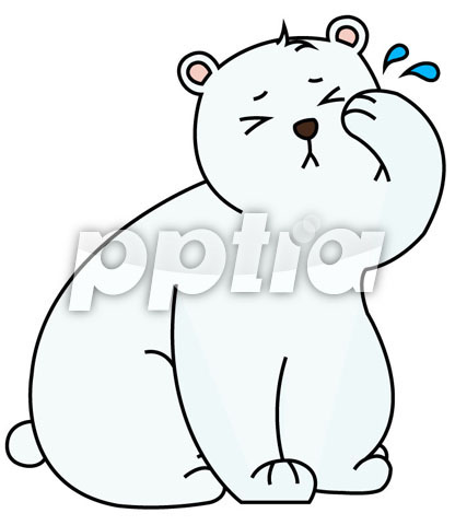 아기북극곰 이미지 미리보기