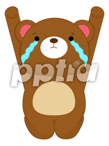 벌서고있는곰 이미지 미리보기