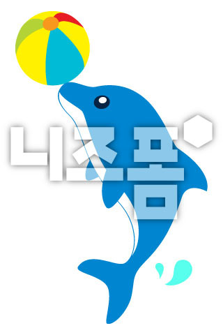 공놀이하는돌고래 이미지 미리보기
