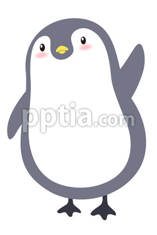펭귄 이미지 미리보기