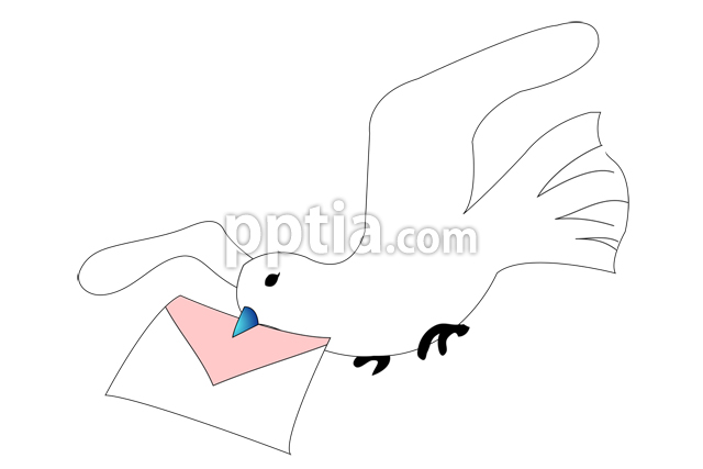 비둘기 이미지 미리보기