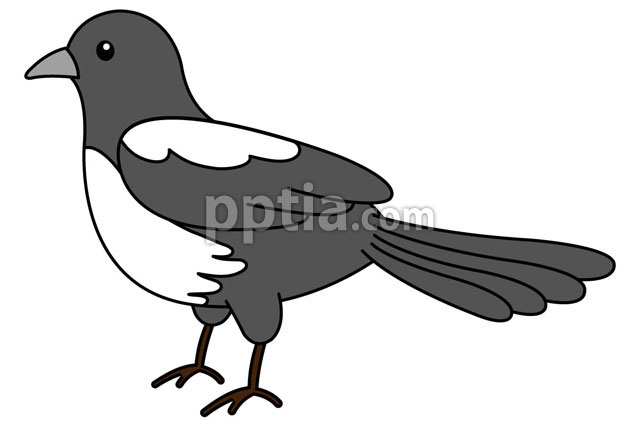 까치 이미지 미리보기
