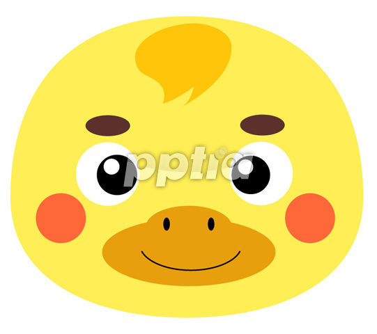 오리 이미지 미리보기