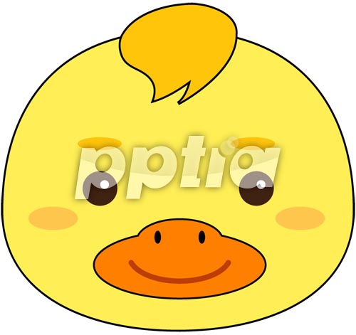 오리 이미지 미리보기