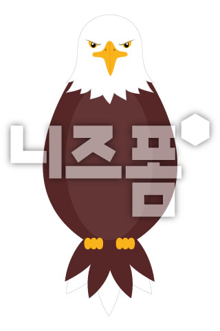 독수리 이미지 미리보기