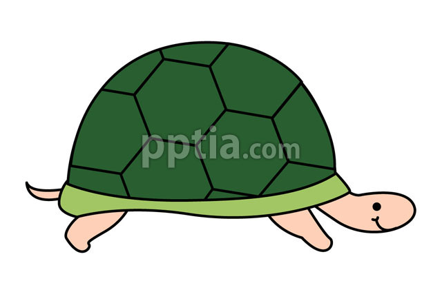 거북이 이미지 미리보기