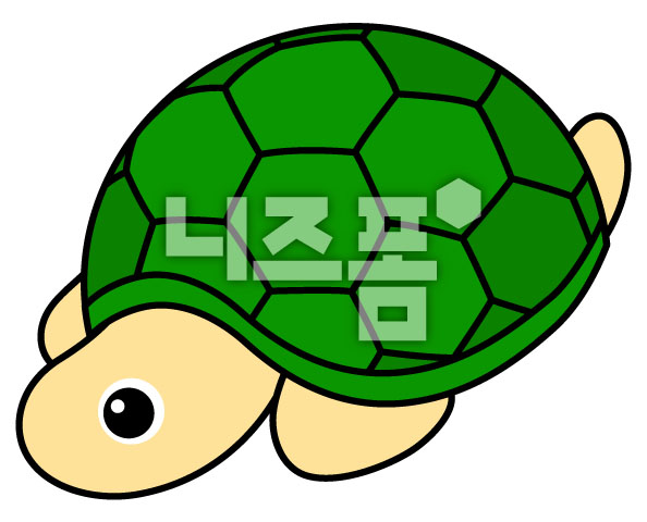 거북이 이미지 미리보기
