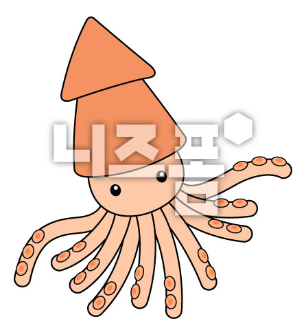 오징어 이미지 미리보기