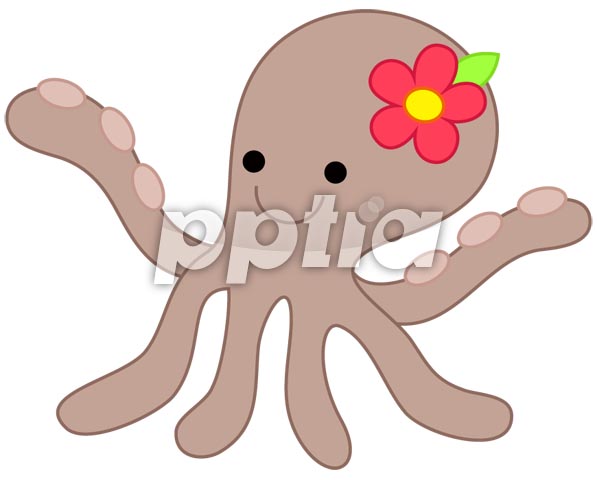 쭈꾸미 이미지 미리보기