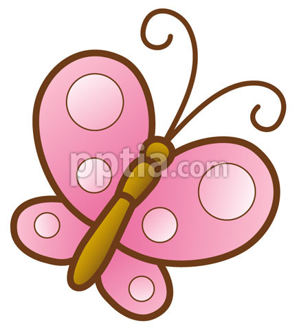 분홍색 나비 이미지 미리보기