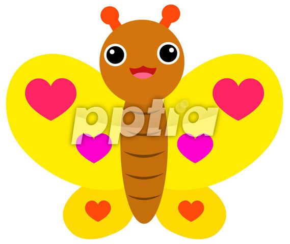 나비 이미지 미리보기